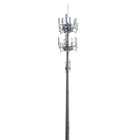 مسحوق المغلفة الصلب برج أحادي البث / 4g / إشارة الهاتف الخليوي