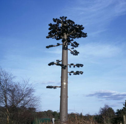 ANSI Bionic Tree أحادية الأنبوب التمويه برج الخلية