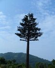 Longlife 50m مموهة شجرة برج الهاتف الخليوي