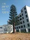 Longlife 50m مموهة شجرة برج الهاتف الخليوي